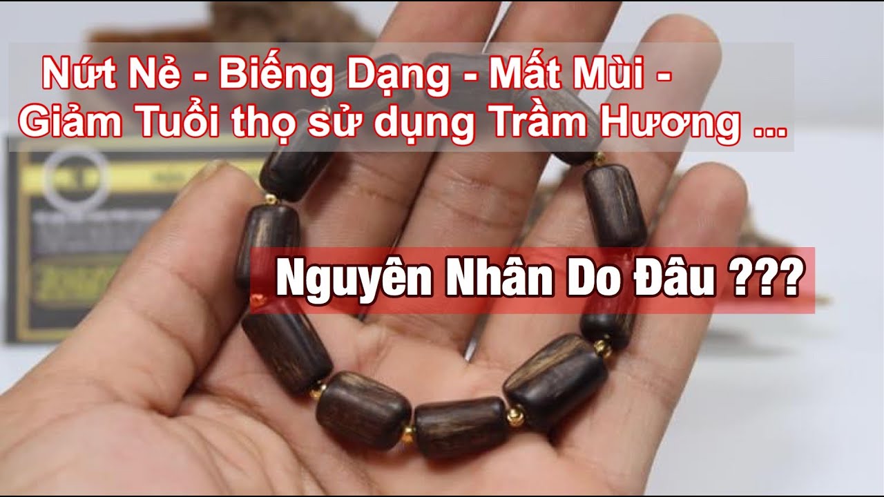 Nói về Trầm Hương #8: Cách sử dụng và bảo quản Trầm Hương Đúng Cách