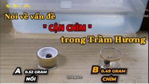 Nói về vấn đề "Cận Chìm "của Trầm Hương - Cận Chìm là một phân khúc ???