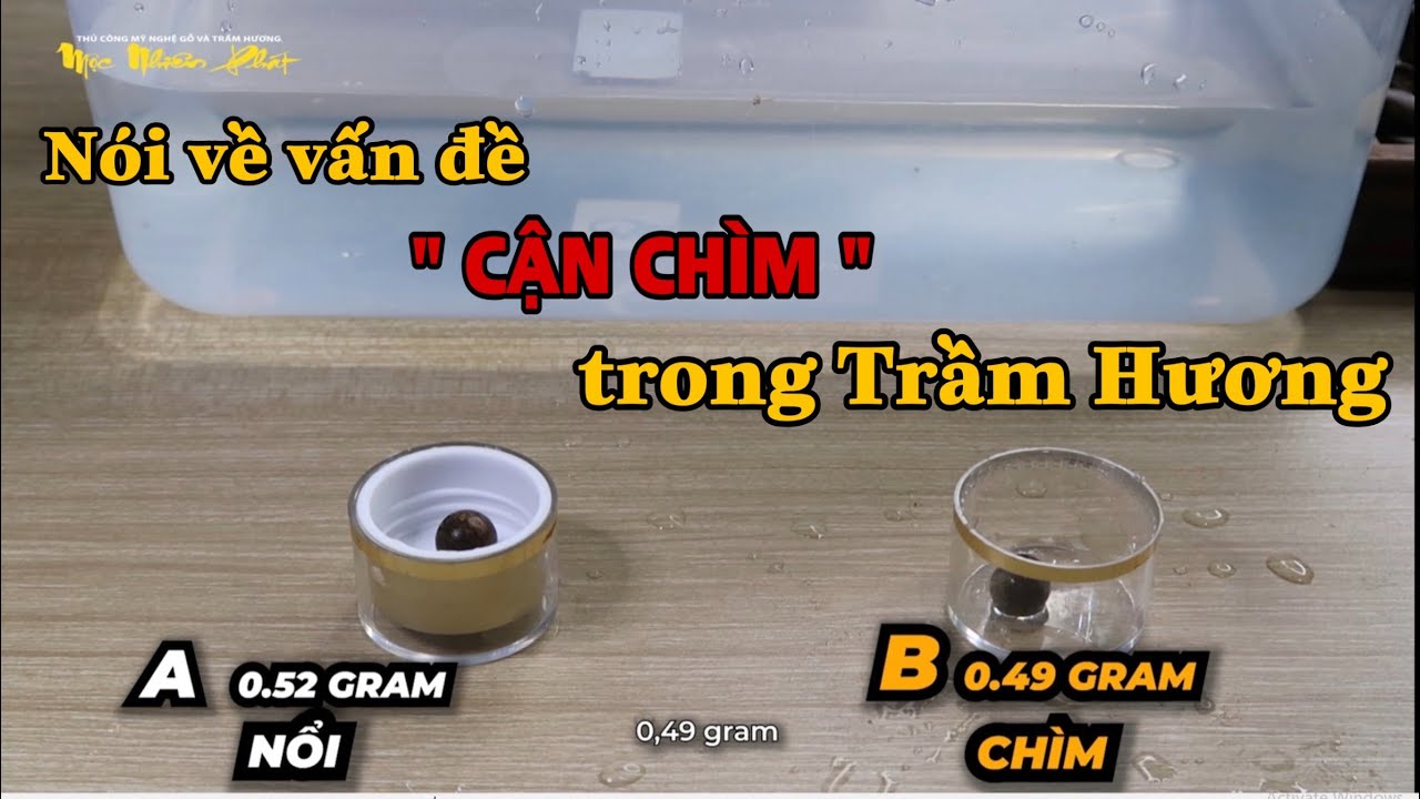 Nói về vấn đề "Cận Chìm "của Trầm Hương - Cận Chìm là một phân khúc ???