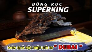 Chuyển nhượng cục Trầm Hương Bông Rục V.I.P - Món quà quý giá cho một vị khách đặc biệt ở DuBai 😊