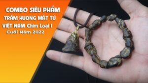 Combo siêu phẩm Trầm Hương mắt tử loại 1 chìm Việt Nam giá trăm triệu | Trầm Hương Mộc Nhiên Phát