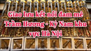 Hành trình kết nối đam mê Trầm Hương - Kỳ Nam cùng Mộc Nhiên Phát khu vực miền Bắc (0948664831 Zalo)