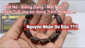 Nói về Trầm Hương #8 (Vlog) - Cách sử dụng và bảo quản Trầm Hương Đúng Cách (phần 3)- Mộc Nhiên Phát