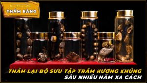 Thẩm lại bộ sưu tập Trầm Hương - Kỳ Nam khủng sâu nhiều năm xa cách - [ Thẩm Hàng Mộc Nhiên Phát ]