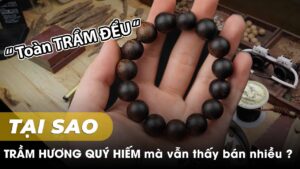 Trầm Hương ở đâu ra mà thấy nhiều nơi bán ? - [ vlog Thăm quan không gian trưng bày Mộc Nhiên Phát ]