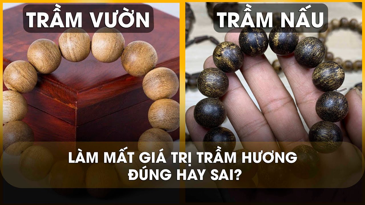 Trầm Vườn - Trầm Nấu tràn lan làm mất giá trị của Trầm Hương ??? - [ vlog Góc Nhìn Mộc Nhiên Phát ]