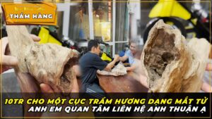 10tr cho cục Trầm Hương dạng Mắt tử, anh em quan tâm liên hệ anh Thuận ạ - Thẩm Hàng Mộc Nhiên Phát