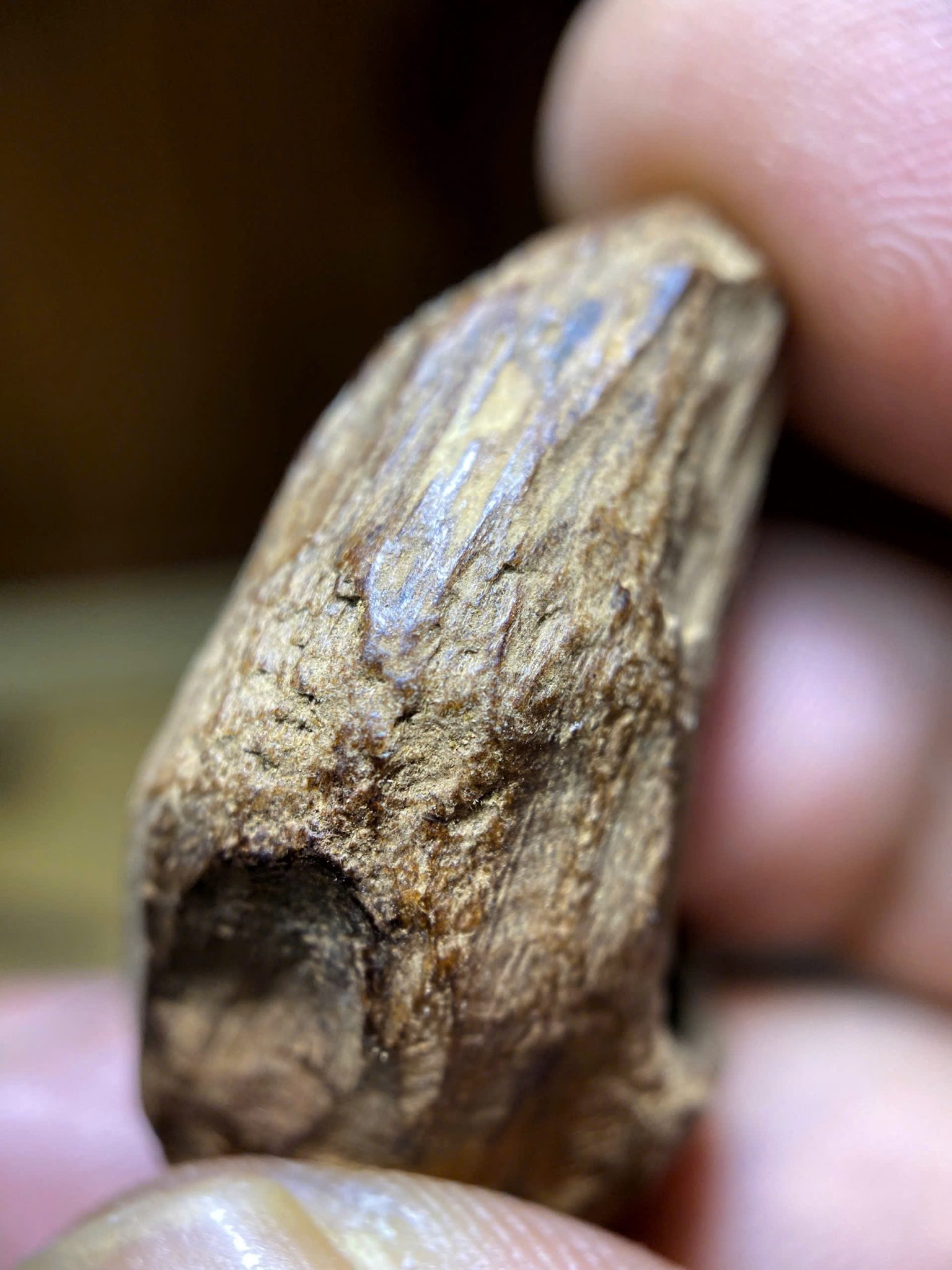 z7060451234459_6d347a01b152a81bee2d6934defbf0d5