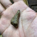 Mắt Tử Chìm – Tarakan – [304]