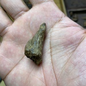 Mắt Tử Chìm – Tarakan – [304]