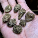 8 cục Mắt Tử Chìm - [1267]