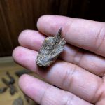 Mắt Tử Chìm – [163]